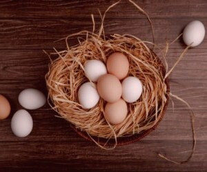 سفید یا قهوه ای: کدام تخم مرغ برای سلامتی مناسبتر است؟