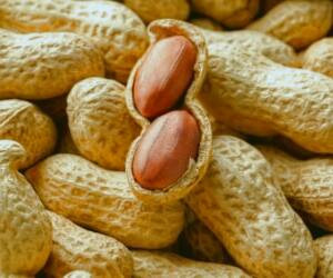 بررسی جامع خواص و مزایای بادام زمینی برای سلامت، زیبایی و درمان