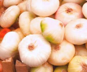 بررسی ویژگیهای متنوع سیر وحشی + آثار جانبی سیر وحشی
