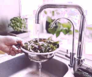 بهداشت و ضدعفونی میوه و سبزیجات برای پیشگیری از کووید-19