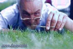 بررسی علائم وسواس در افراد مسن و روشهای درمانی آن