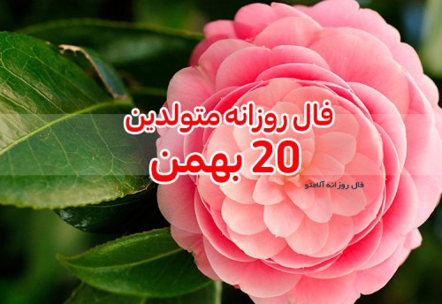 فال روزانه 20 بهمن 99