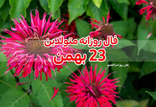 فال روزانه 23 بهمن 99