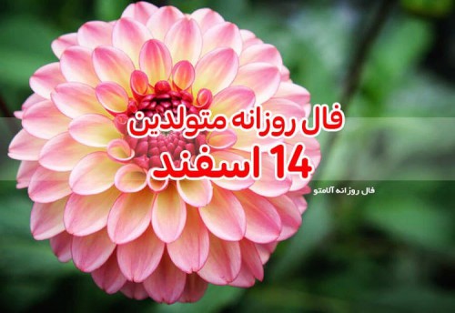 فال روزانه 14 اسفند 99