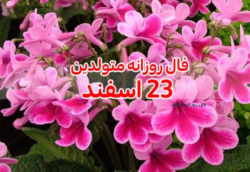 فال روزانه 23 اسفند 99