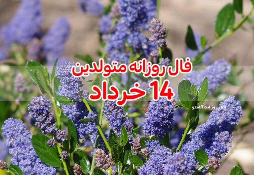 فال روزانه 14 خرداد 1400