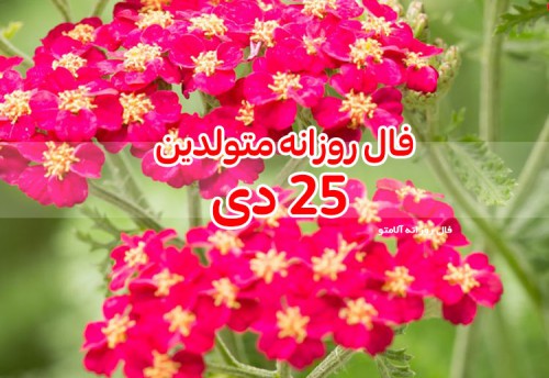 فال روزانه 25 دی 99