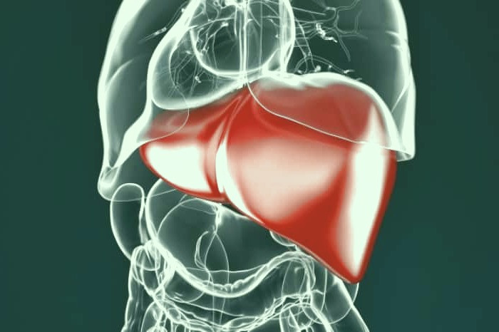 کبد چرب عامل ایجاد سرطان است