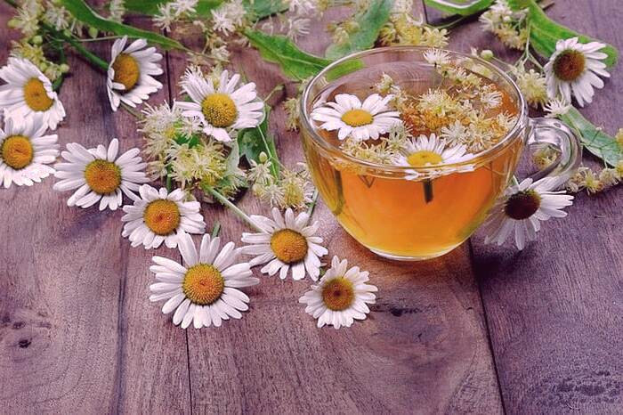 فواید چای بابونه چای بابونه