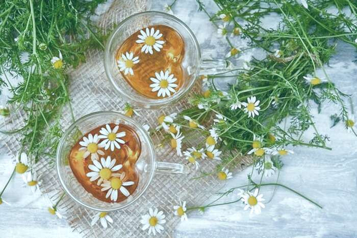 بابونه چه خواص و فوایدی دارد؟ خاصیت دارویی بابونه