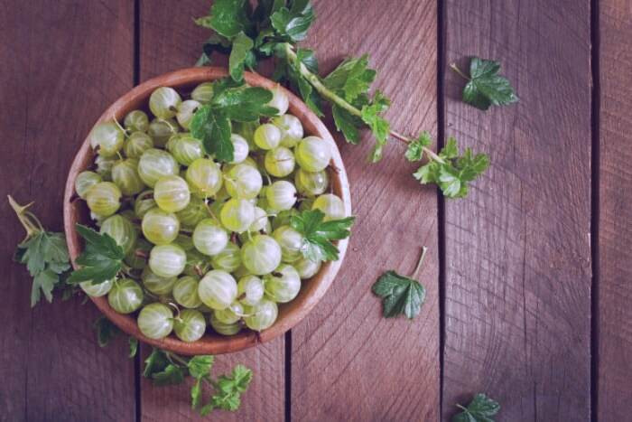 فواید مصرف آملا برای سلامت بدن خواص آملا