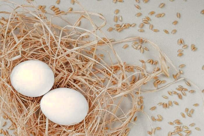 ویتامین ها و مواد معدنی تخم مرغ egg