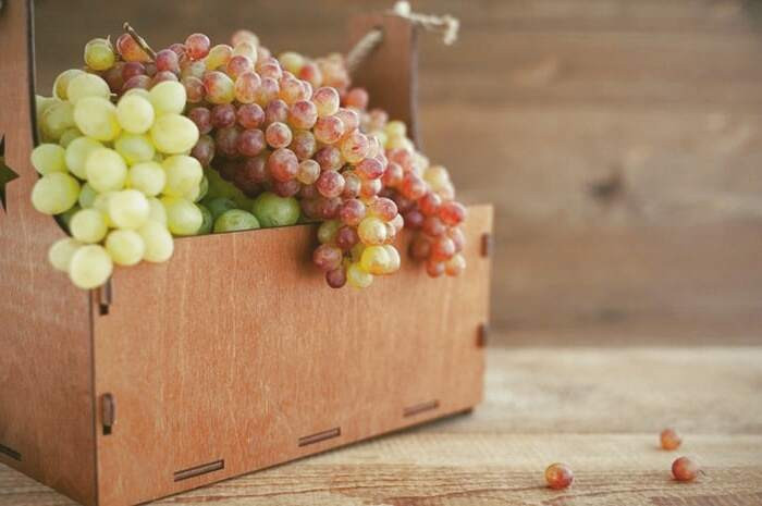 کدام مواد غذایی برای کودکان ممنوع است؟ مواد غذایی