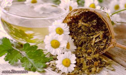 رفع مشکلات پوستی با درمان های گیاهی مشکلات پوستی