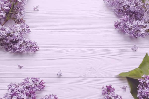 یاس بنفش