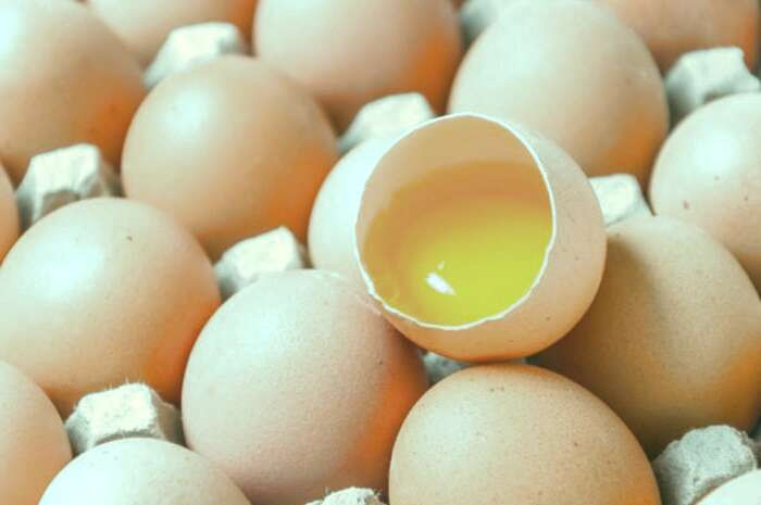 شامپو تقویت مو با تخم مرغ و ماست شامپو تخم مرغ و ماست