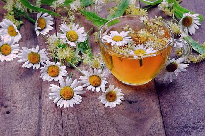 چای بابونه برای درمان کابوس چای بابونه