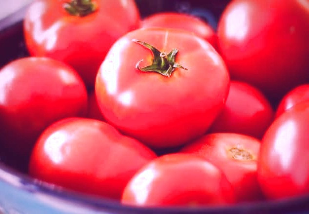 گوجه فرنگی