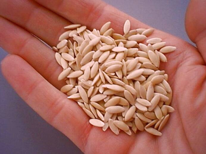 فواید تخم خیار برای زیبایی و سلامت بدن خواص تخم خیار