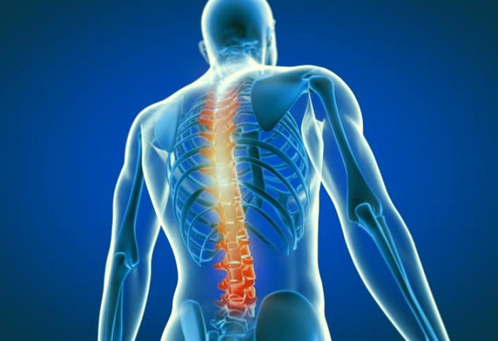 تخم کدو تنبل برای استخوان ها 