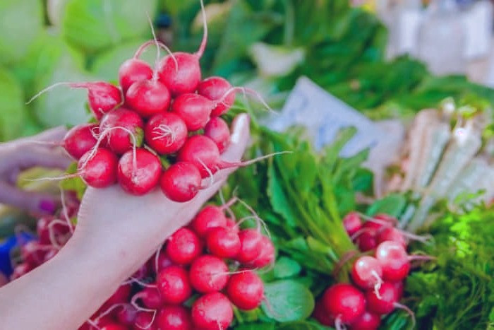 خواص برگ تربچه برای پوست برگ تربچه قرمز