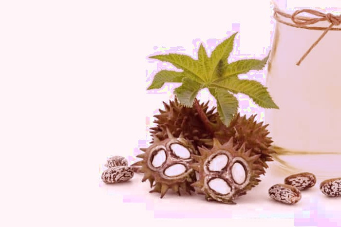 خواص روغن کرچک روغن کرچک اصل