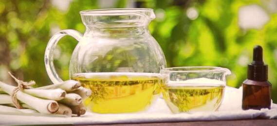 فواید روغن علف لیمو برای افزایش شیر خواص روغن علف لیمو