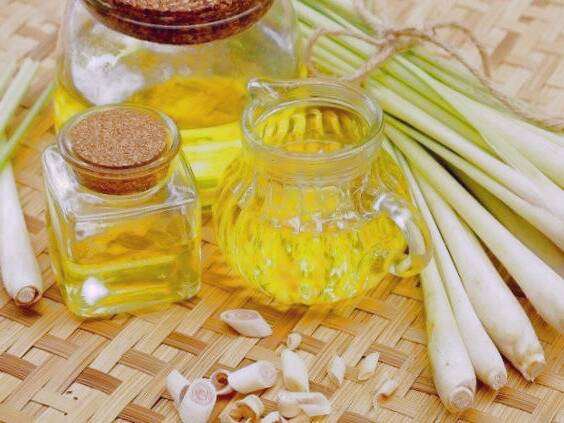 خوشبو بودن روغن علف لیمو مصرف روغن علف لیمو