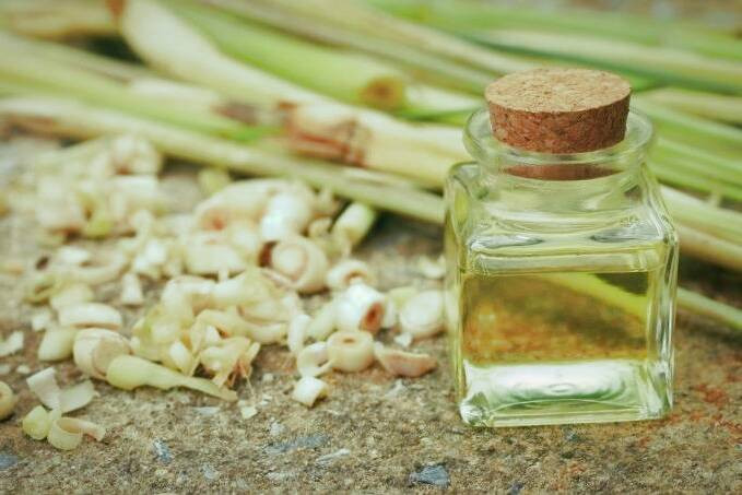 تمام خواص و مضرات روغن علف لیمو روغن علف لیمو