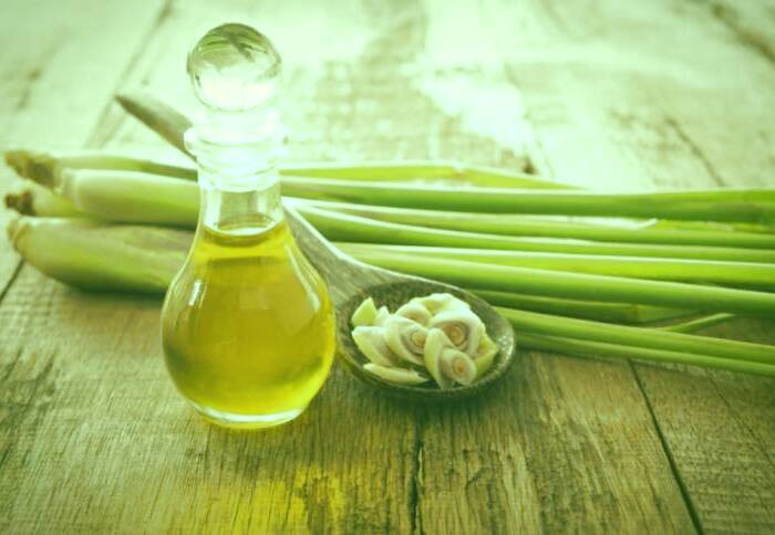 روغن علف لیمو برای درد و افسردگی روغن علف لیمو