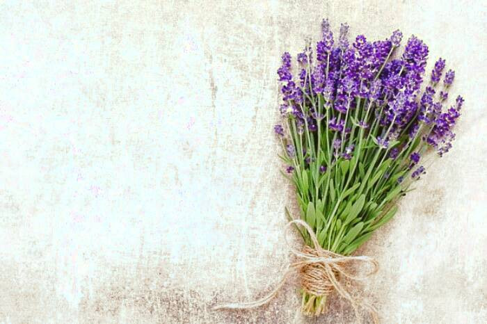 روش های سریع درمان آلرژی با روغن اسطوخودوس درمان سریع آلرژی