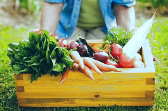 نکته های تغذیه پس از عمل جراحی تغذیه پس از عمل جراحی