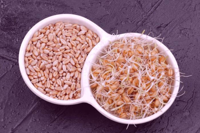 فواید جوانه گندم برای مو 