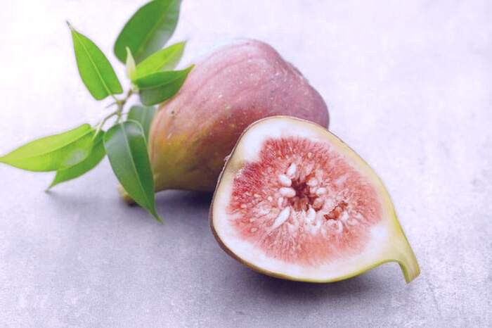 انجیر برای روده 