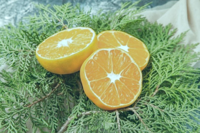 فواید نارنج برای پوست و مو مصرف نارنج در بارداری