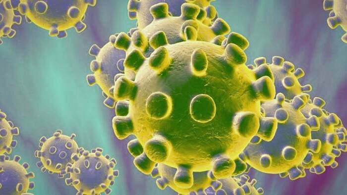 ویروس کرونا