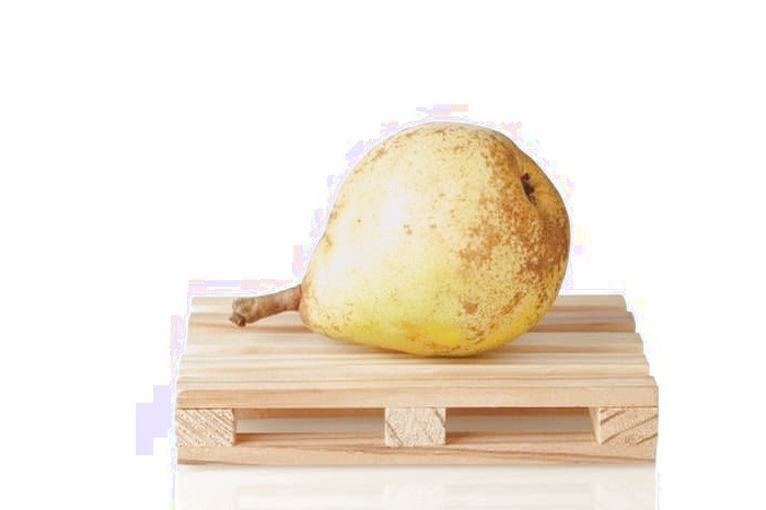 ارتباطی میان گلابی وحشی با انچوچک گلابی وحشی