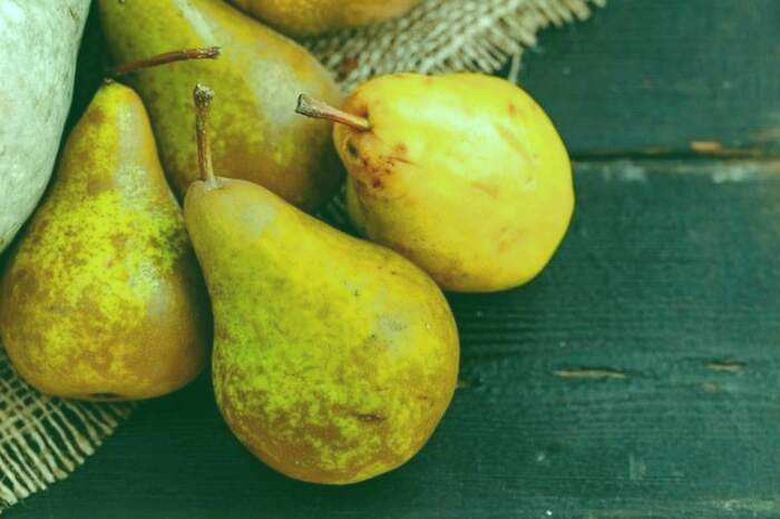 ارتباطی میان گلابی وحشی با انچوچک گلابی وحشی
