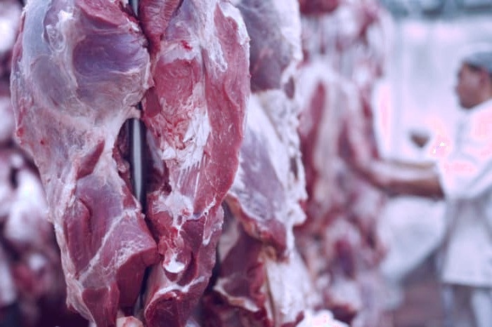 گوشت گوسفندی سالم 