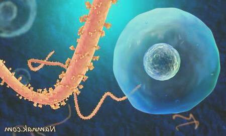 ویروس آنفلوانزا