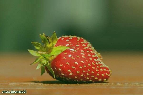 مواد شیمیایی