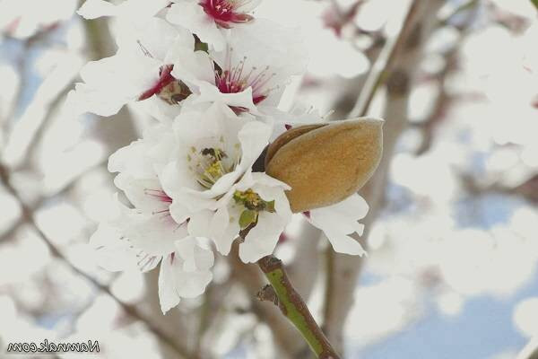 مواد شیمیایی
