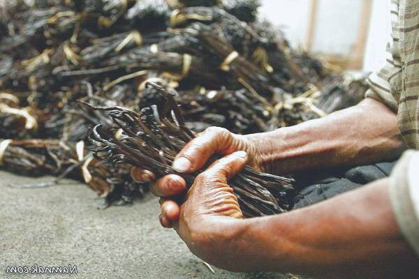 مواد شیمیایی