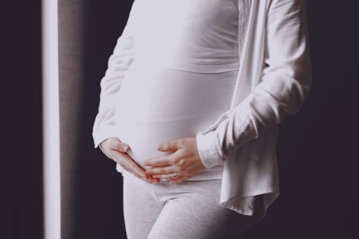 کاسنی در بارداری 