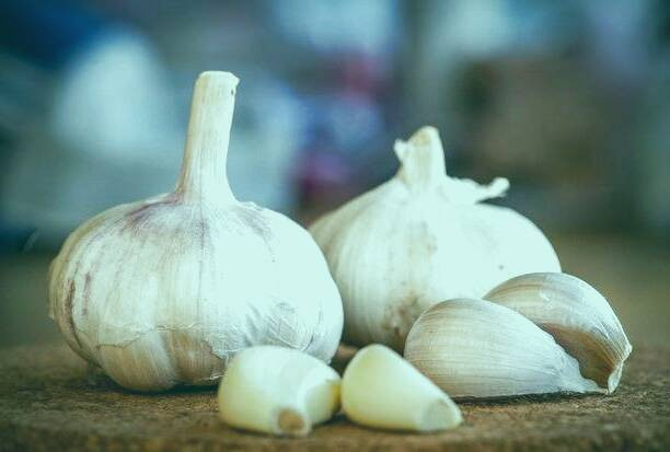 استفاده از سیر 