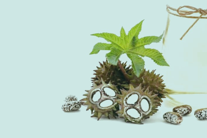 روغن کرچک اصل 