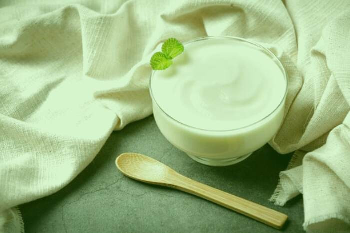 بهترین ماست 