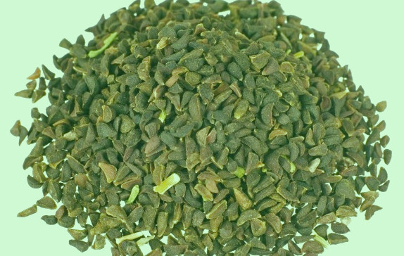 اسپند برای شپش