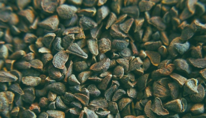 اسپند برای لاغری 