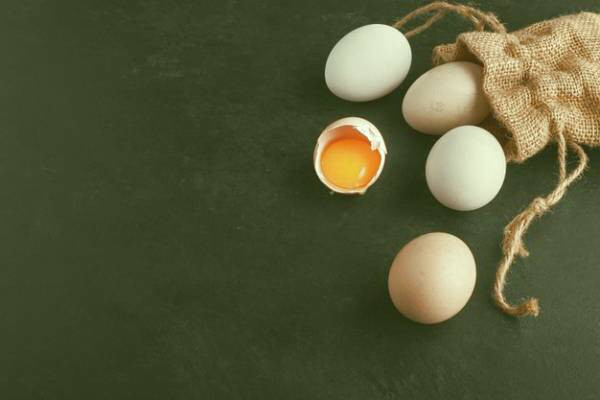 تخم مرغ